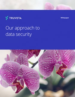 Whitepaper-Cover-Data-Security